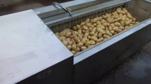 Оборудование для мойки и очистки овощей и фруктов