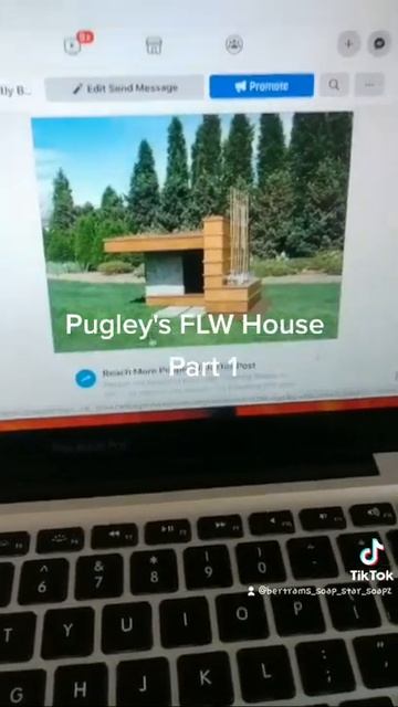 Building Pugsley a Frank Lloyd Wright house смотреть онлайн
