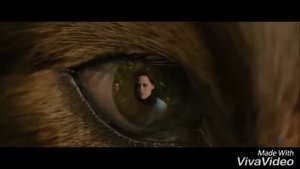 Волки Сумерки: клип Волчата