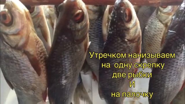 СУШЁНАЯ ПЛОТВА готовимдома
