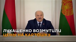 Лукашенко возмутился ростом цен на картошку