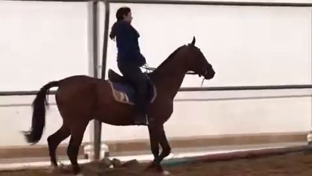 Тренировка 30.10.18 Сапар смотреть онлайн