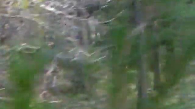 BECCACCE MIA e MANON LESCAUT MARA X MILO) YouTube смотреть онлайн