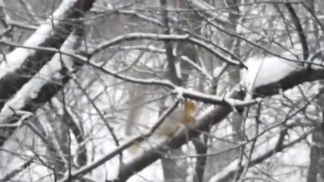 Дивовижний світ природи