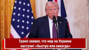 Трамп заявил, что мир на Украине наступит «быстро или никогда»