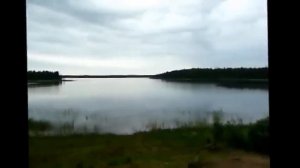 Природа посёлка Кепа