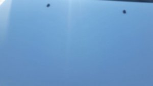 Ford Fobcus 2 в разборе