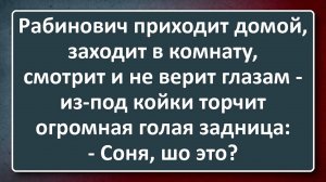 Огромная Задница из-под Кровати! Сборник Анекдотов