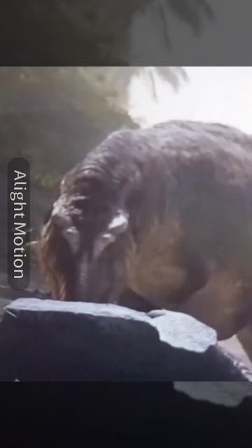 wake up to reality jw trex or irl trex #shorts #viral #trending смотреть онлайн