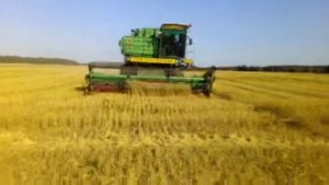 Уборка полбы на органическом агропроизводстве
