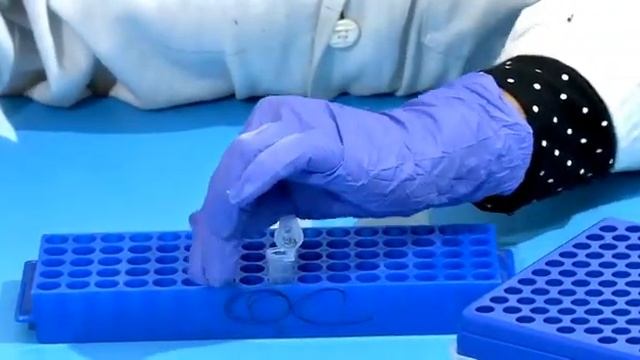 GCC biotech GSure Plant DNA Mini Kit with WLN Buffer смотреть онлайн