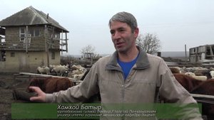 Вай боахам 28,02,25 автор Холохоева Пятимат