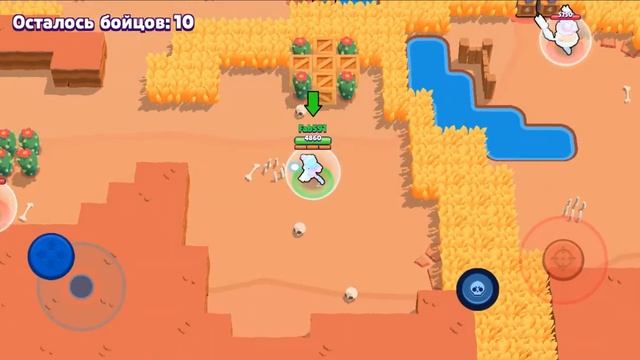 БРАВЛ СТАРС ИГРАЮ ЗА БО НА 700+ КУБКАХ ОДНИ КРЫСЫ смотреть онлайн