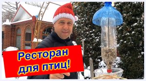 🔴Кормушка для птиц своими руками🔴Делаем Быстро, Просто и Оригинально🔴Из ПВХ бутылок🔴