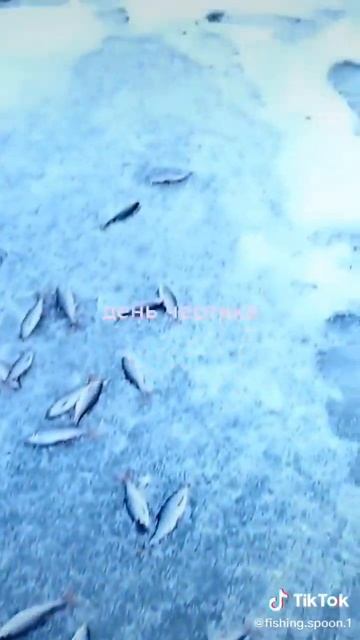 Ловля на чёртика 👍#рыбалка #можайское водохранилище #яузское#пудыши#рыбинское#десногорское#россия смотреть онлайн