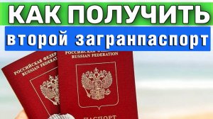 Как ПОЛУЧИТЬ ВТОРОЙ ЗАГРАНПАСПОРТ при наличии действующего? Юридические услуги