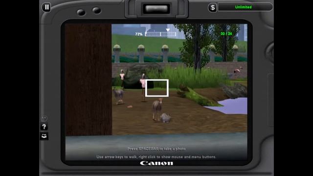 Zoo Tycoon 2 | Exhibit: Flamingo and DikDik смотреть онлайн