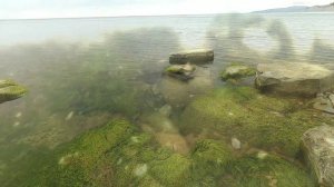 Дикарем на море. День 2. Дивноморское