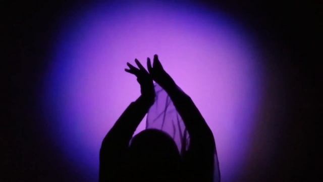 Пролог концерта Счастье внутри Натальи Соколовой