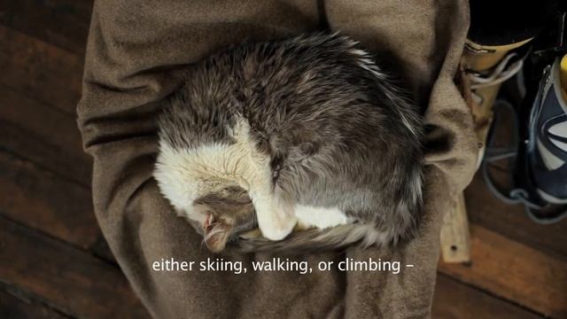 Argentina - A Skier's Journey смотреть онлайн