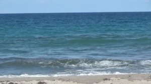 Сельчанка в Америке.  Все внимание на Гену