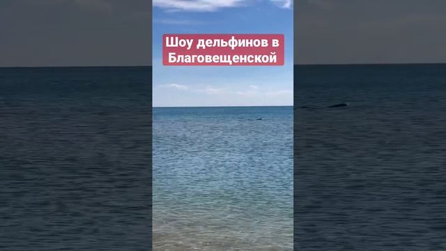 #анапапмж #анапа #риэлтор #шоу #дельфины #новость  #якутия #сибирь #осень #крым #крымскиймост