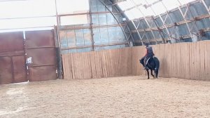 Вика и Наоми. Тренировка с комментариями. #horse, #equestrian, #лошади, #pony, #конный спорт.