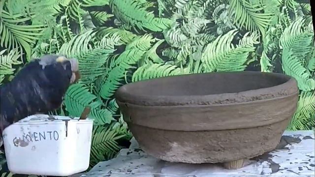 DIY - LINDO VASO DE CONCRETO LEVE DECORADO COM LAÇO DE FITA смотреть онлайн
