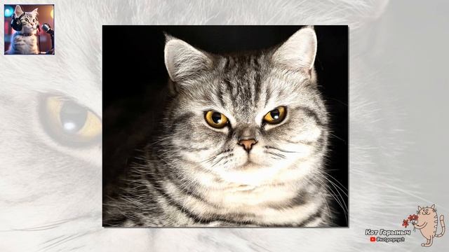 Вечеринка в стиле девяностых смотреть онлайн