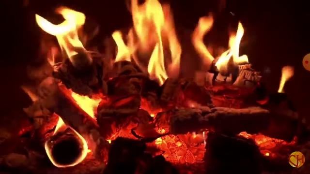 Асмр звук огня + звуки рта смотреть онлайн