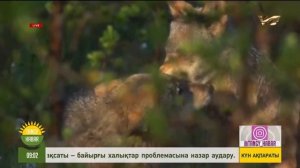 Сіз бен біз білмейтін құпиялар