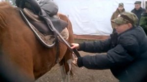 Взбесившийся конь