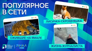 "Ямал-Медиа" продолжает обозревать главные тренды в интернете