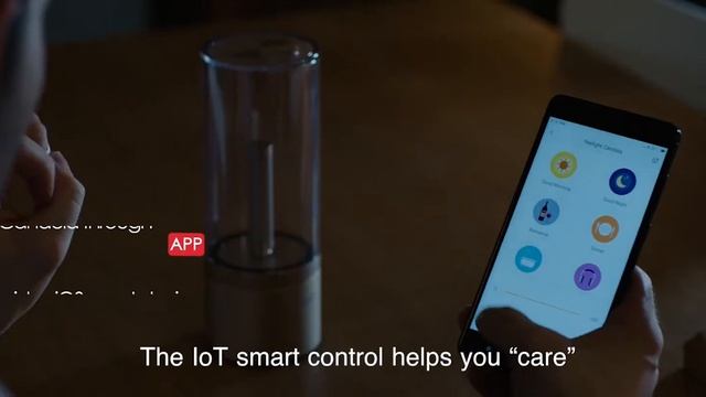 Yeelight Candela | Smart light, Smarter Home смотреть онлайн