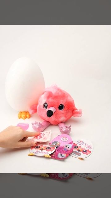 pets alive birds (9537) (1) смотреть онлайн