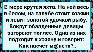 Как Мужик на Яхте Рыбу Ловил! Большой Сборник Свежих Смешных Жизненных Анекдотов!