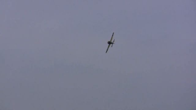 EF 110" Yak Weeble Wobble Death Save! By Jase Dussia смотреть онлайн