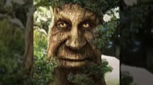 Мудрый дуб под музыку из скайрима (мем из тик тока)