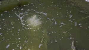 28.02.25 г. Парк отдыха водопад