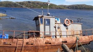 Ура-Губа (11.06.2021)