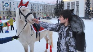 Чернобурая лисица бегала по Северодвинску. ЧЕРНОБУРКА ᐈ УБЕЖАЛА от ХОЗЯИНА.