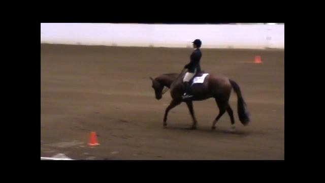 AQHA Congress 2010 Hunt Seat Equitation Top Ten.wmv смотреть онлайн