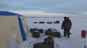 ВЕЛИКОЛЕПНАЯ РЫБАЛКА НА ЧАНАХ 2021! Как комфортно ловить рыбу_ Большого карася много не бывает!