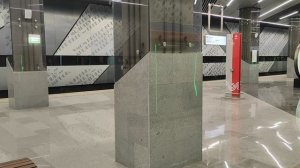 Троицкая линия Новаторская - Новомосковская на поезде Москва 2024