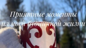 Приятные моменты из моей будничной жизни