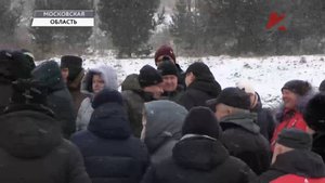 Оно доплыло и отравило...