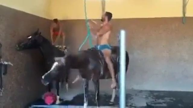 Когда папа и ребенок оба увлечены лошадьми смотреть онлайн