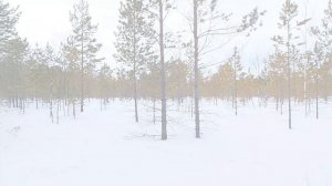 Закрытие по рябчику