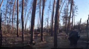 Ах ты горюшко мое...