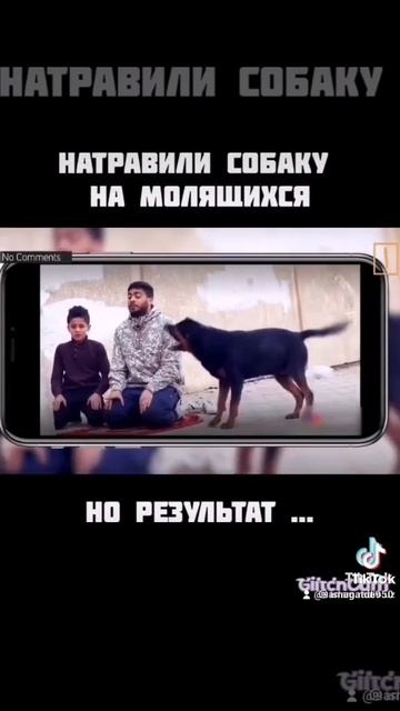 Натравили собаку на молящихся😱😱😱 смотреть онлайн
